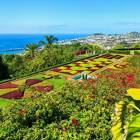 Mary Jane By Rentallido * Funchal (Madeira)